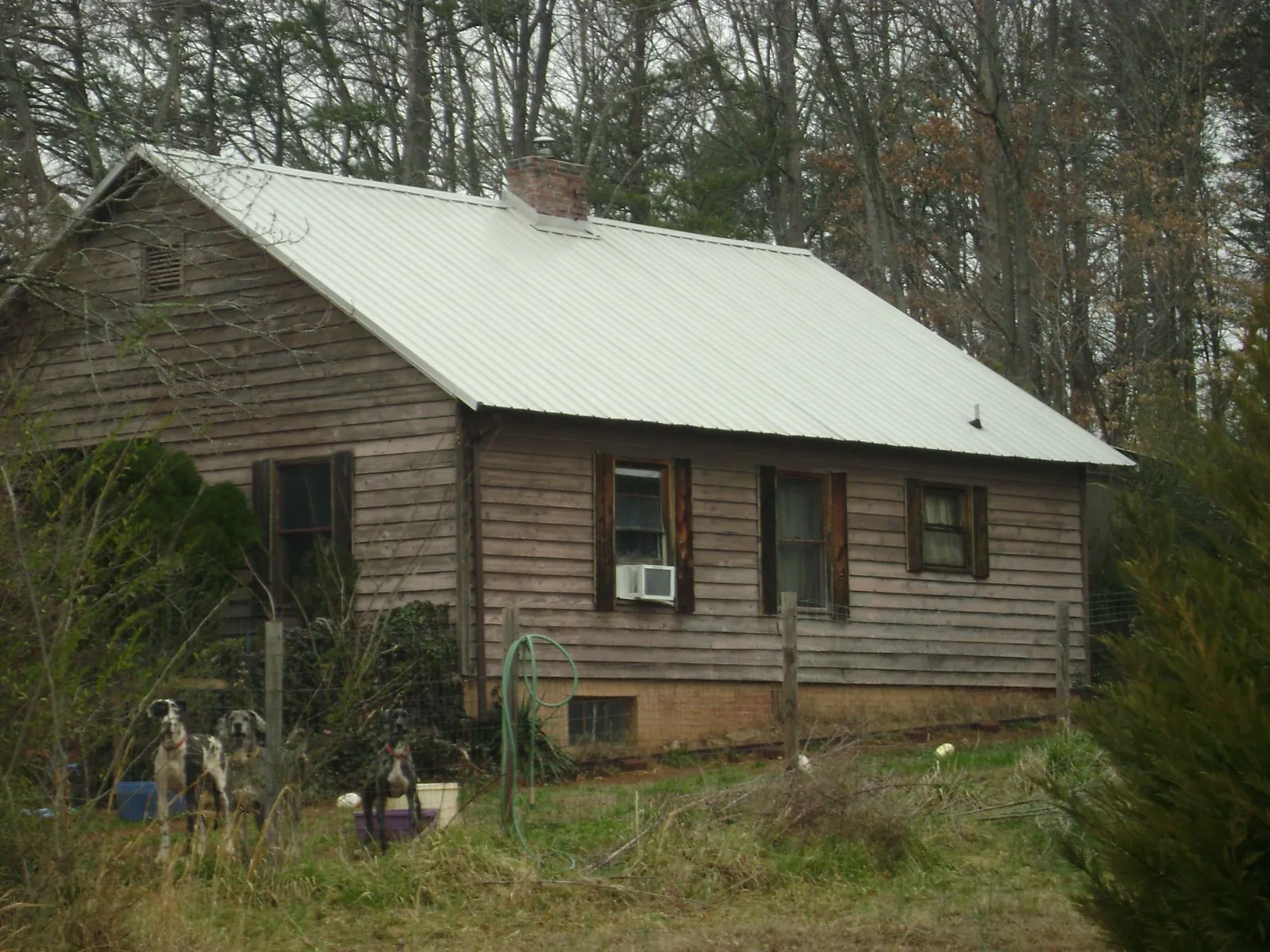 White metal roof on an old wood sided farmhouse, from a Metal Roof Installation job in Tiller